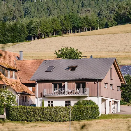 Grosses, Modernes Und Ansprechendes Kinast Host112 Im Herzen Des Schwarzwaldes Hofstetten (Baden-Wurttemberg)