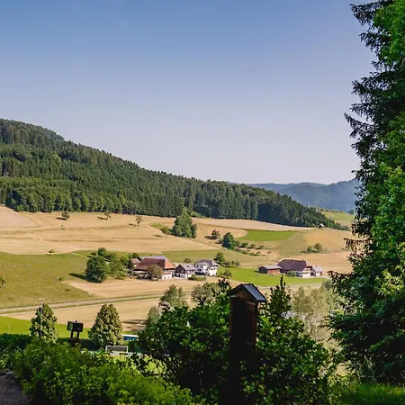 Grosses, Modernes Und Ansprechendes Kinast Host112 Im Herzen Des Schwarzwaldes
