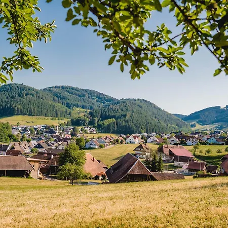 Grosses, Modernes Und Ansprechendes Kinast Host112 Im Herzen Des Schwarzwaldes