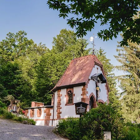 Grosses, Modernes Und Ansprechendes Kinast Host112 Im Herzen Des Schwarzwaldes Hofstetten (Baden-Wurttemberg)